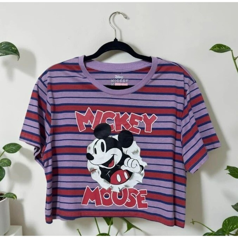 Women’s Striped Graphic Crop T-Shirt Size XL
